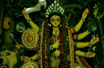 benefits of harsingar leaf जिसके फूल से नवरात्रि में महारानी का करते हैं श्रृंगार, उसका पत्ता डेंगू, टायफाइड, मलेरिया जड़ से कर देता है खत्म