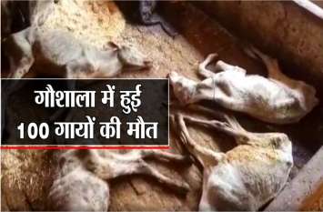 cows died : 100 cows died by mud , stir in the state गायों की मौत से मचा हड़कंप, कारण सामने आया तो प्रशासन भी रह गया हैरान , देखें वीडियो