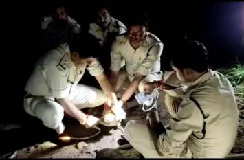 Crocodile in an Village of damoh madhya pradesh नदी से निकलकर गांव में घुसा मगरमच्छ, ग्रामीणों में दहशत