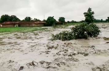 NGT set up team to investigate Essar's ash dam breakdown in Singrauli एनजीटी ने ओवर साइट कमेटी के चेयरमैन को दी जांच की जिम्मेदारी