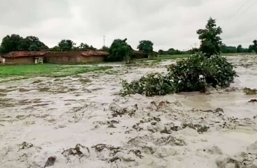 NGT set up team to investigate Essar's ash dam breakdown in Singrauli एनजीटी ने ओवर साइट कमेटी के चेयरमैन को दी जांच की जिम्मेदारी