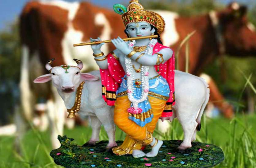 bahula chaturthi बहुला चतुर्थी : सोमवार को न पीएं चाय, कॉफी और दूध