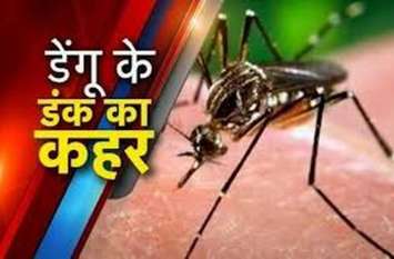 755 dengue patients in three days, six dead तीन दिन में डेंगू के 755 मरीज, मृतकों की संख्या छह