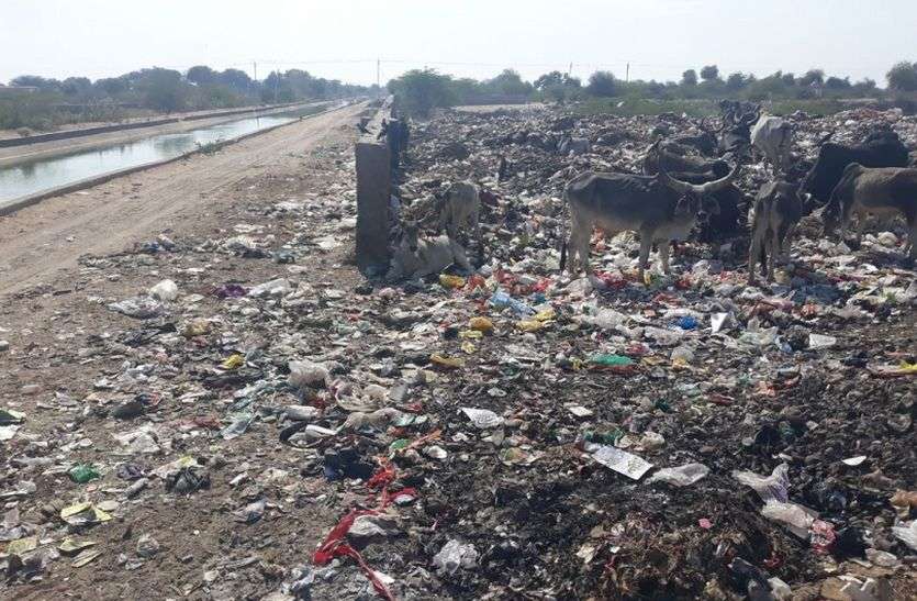 dumping yard लिफ्ट कैनाल के पास डाल रहे शहर की गंदगी, हो सकता है गंभीर हादसा