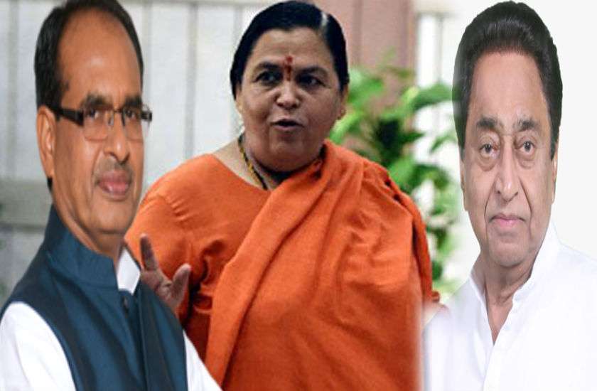mp election