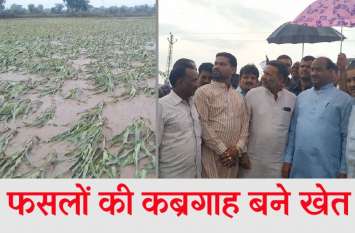 Om Birla visited in villages and see that crops damaged due to rain. लोकसभा अध्यक्ष ने देखी खेतों में डूबी फसलें, किसानों को दी सांत्वना, अफसरों को सर्वे के निर्देश