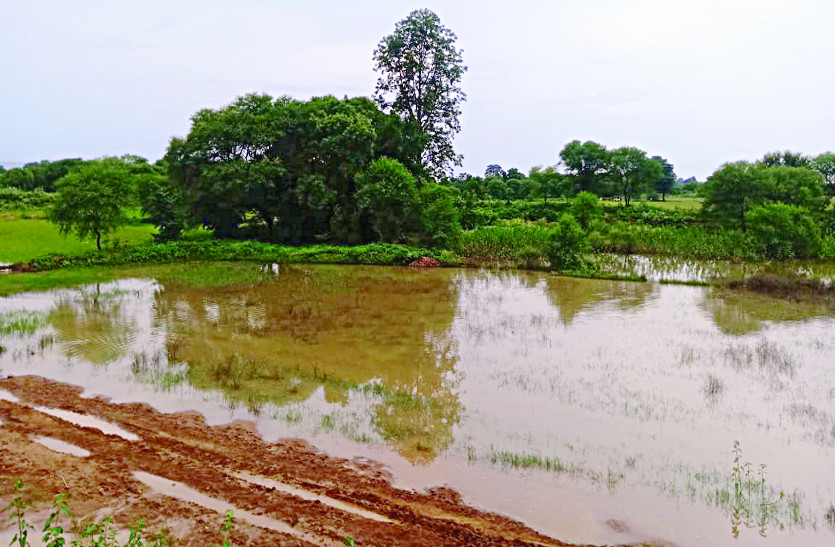 Sarpanch made road in farmers farm in Gariaband Chhattisgarh बिना अनुमति सरपंच ने किसान की एक एकड़ जमींन पर बना दी सड़क, न्याय के लिए भटक रहा पीड़ित