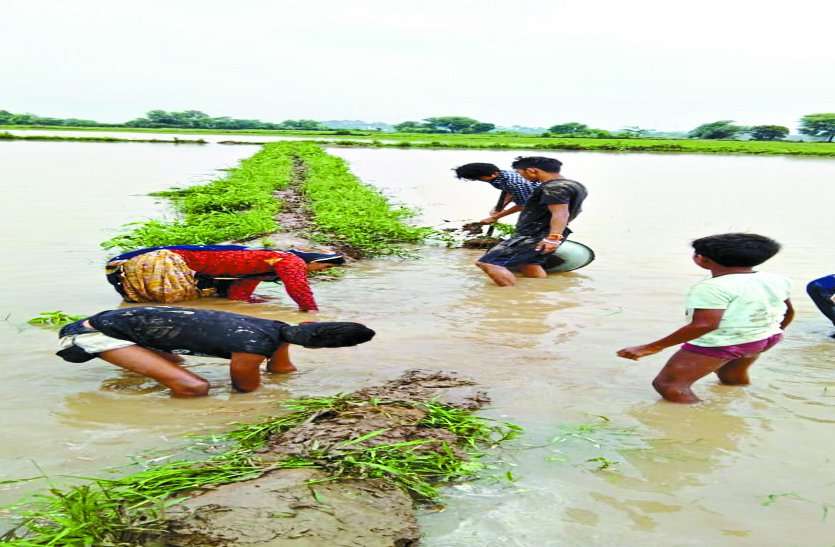 parvati river news over flow people life in danger in sheopur