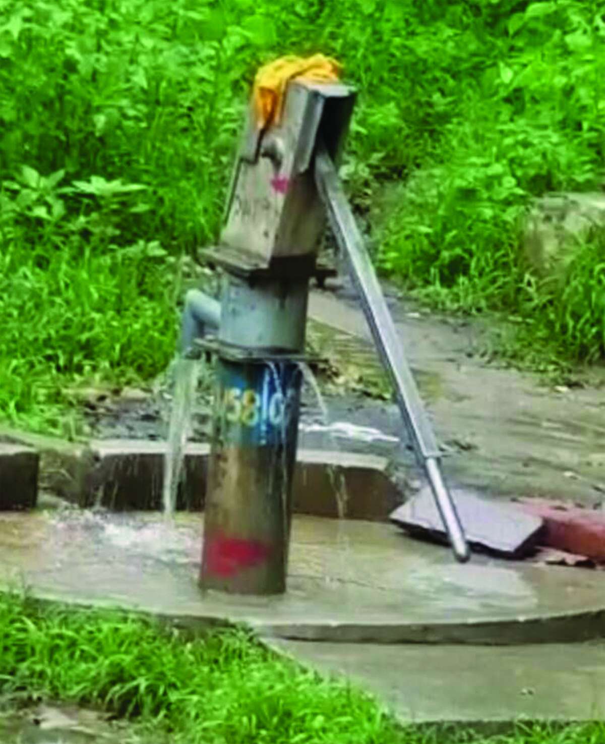 Tourists will be able to go on a picnic again at goramghat