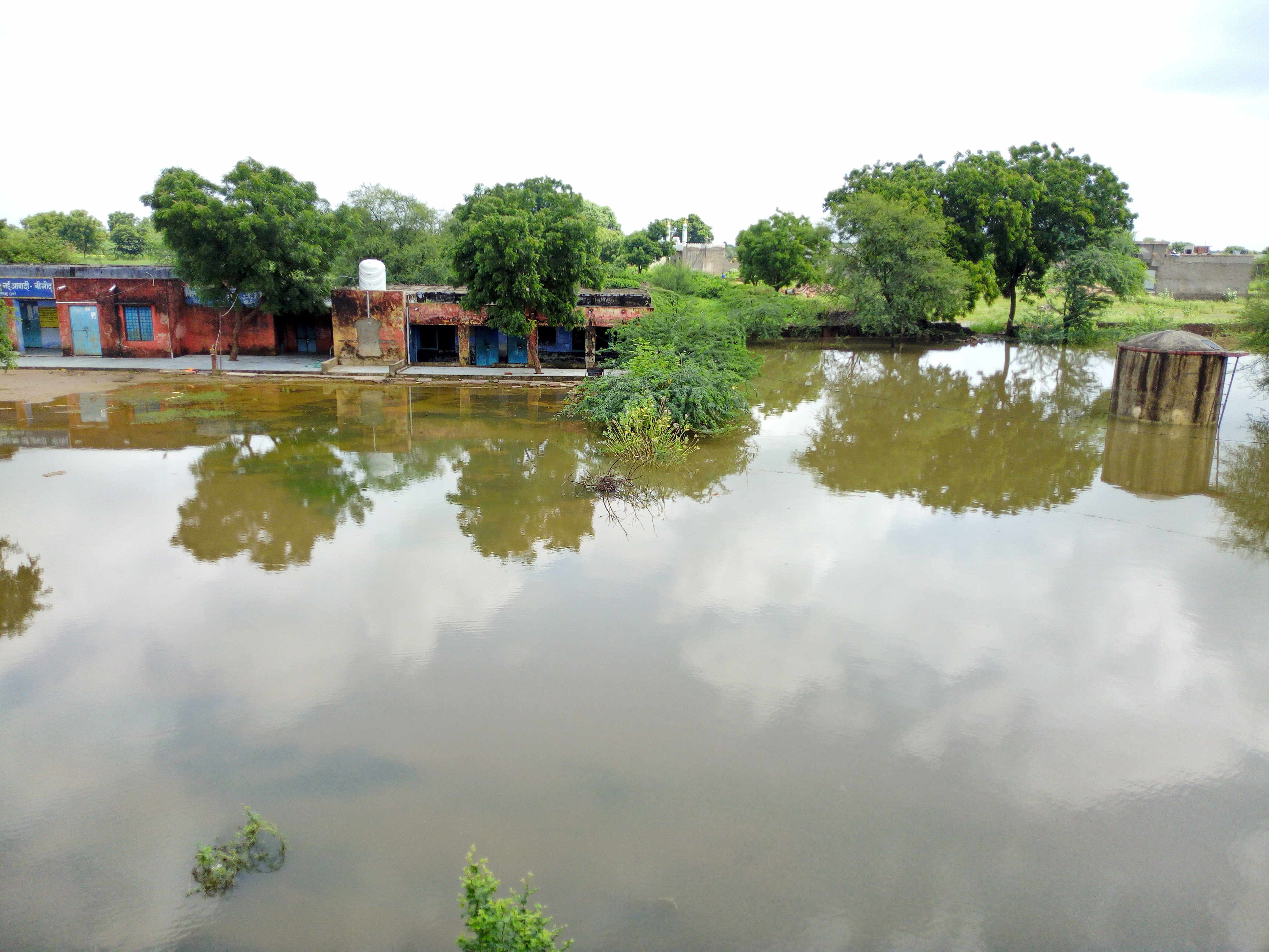 Four feet of water filled the school campus in Bhilwara | एक माह से स्कूल  परिसर में भरा चार फीट पानी | Patrika News