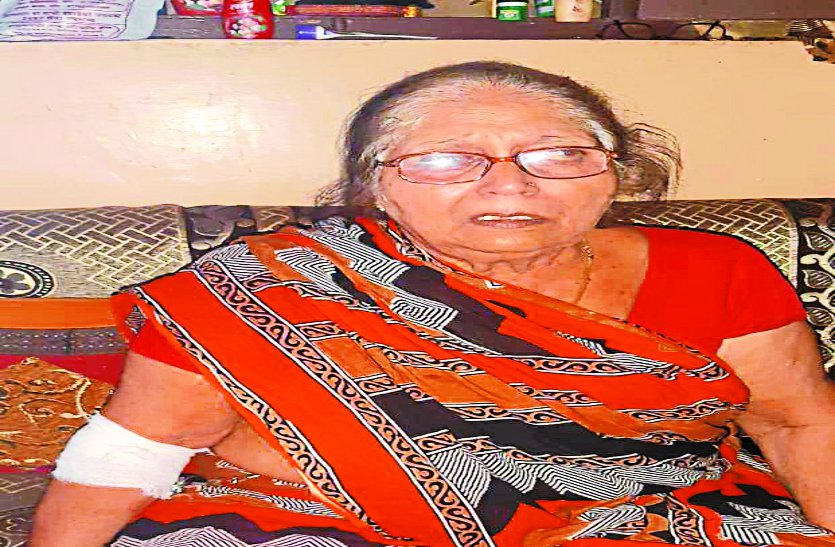 robber attacks on 72 year old woman, dog saves life मॉर्निंग वाक पर निकली थी 72 साल की महिला अचानक किसी ने दबा दिया मुँह फिर सरेआम जो हुआ उसने सबको हैरान कर दिया