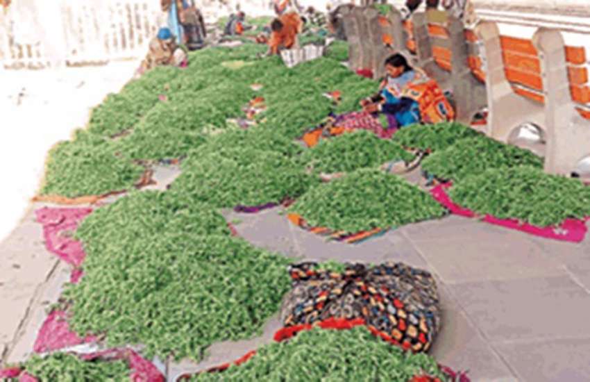 Bhaji