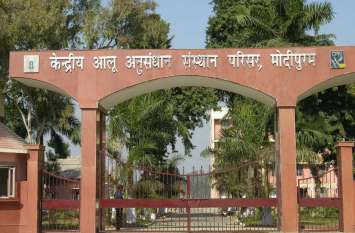 National Potato Day potato research center gwalior develop new spices National Potato Day: उत्तरप्रदेश में बढ़ी ग्वालियर के कुफरी चिप्सोना-1 आलू की मांग, 400 से बढकऱ 1000 क्विंटल का हुआ बीज का ऑर्डर
