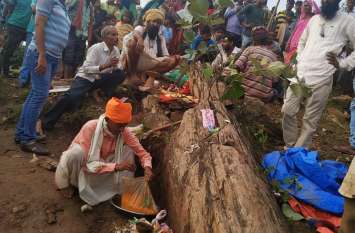 Dream come true, Precious statues found in the forest पुजारी का सपना सच, जंगल में मिली बेशकीमती मूर्तियां