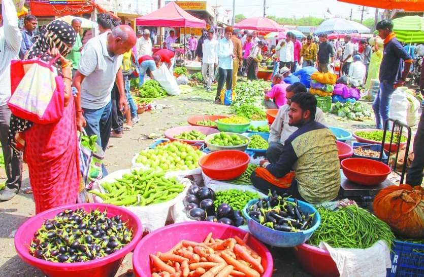vegetables price latest update सब्जियों के दामों में आयी कमी, थाली में आने लगी भिंडी और लौकी, जानें आने वाले दिनों के दाम