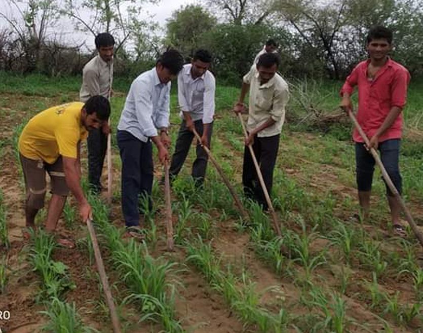 barmer waiting for good rain बाड़मेर की अधूरी आस, 10 दिन तय करेंगे अकाल-सुकाल