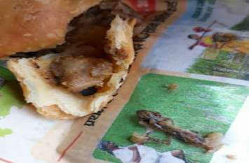 lizard in samosa lucknow news in hindi समोसे में आलू की जगह निकला छिपकली का सिर, दुकानदार बोला- फ्राई मिर्च है, उसके बाद हुआ ये