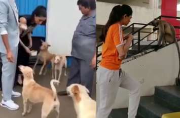 Shraddha Kapoor and Daisy Shah feeding animals video श्रद्धा कपूर ने Dogs और डेजी शाह ने बंदरों को खिलाया खाना, फैंस बोले- ये है पशुओं से असली 'प्रेम'