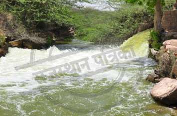water storage in dams of jodhpur मानसून की मेहरबानी से जोधपुर में हुई 153 प्रतिशत बारिश, बावजूद इसके बांधों तक नहीं पहुंचा पर्याप्त पानी