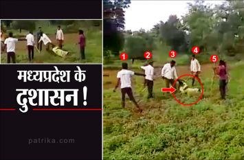 Singrauli: dabang people dragged women in field by holding her hair कहर बनकर महिला पर टूटे पांच मर्द, पिटाई के बाद खेत में बाल पकड़कर घसीटते रहे