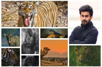 wildlife photographer abhinav trivedi of jodhpur प्रकृति से लगाव ने अभिनव को बनाया वाइल्ड लाइफ फोटोग्राफर, अब वन्यजीव संरक्षण में निभा रहे जिम्मेदारी