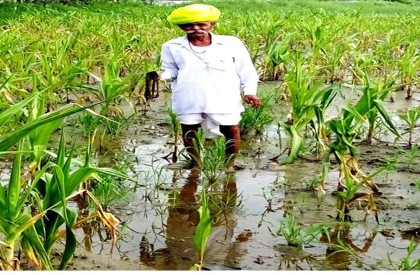 Insurance company phones are off, farmers upset in bhilwara बीमा कंपनी के फोन बन्द, किसान परेशान