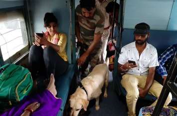 input related to terrorists, agfanistan,Intensive search operation Alert: ट्रेन में अचानक डॉग स्कवॉड के साथ आ पहुंची, सकते में आए रेल यात्री