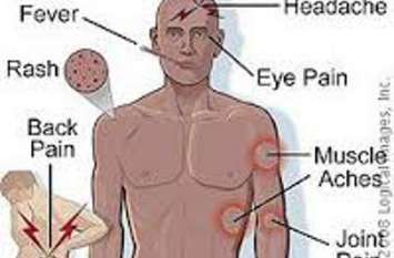 Mosquitoes are also challenging medicated mosquito nets मेडिकेटेड मच्छरदानी को भी चुनौति दे रहे मच्छर, खत्म नहीं हो रही यह समस्या