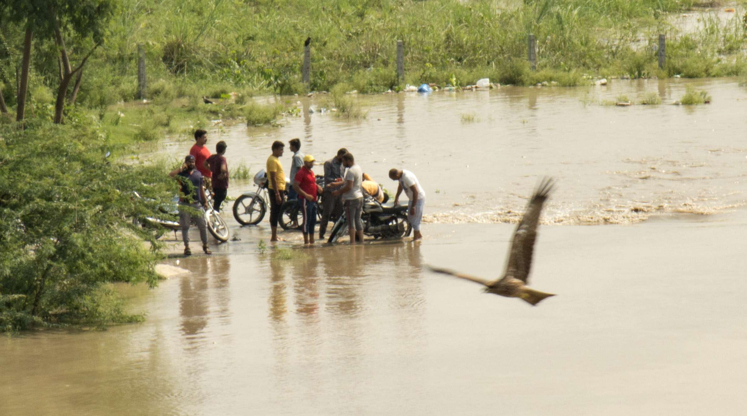 delhi flood