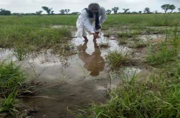 Farmers' crops submerged किसानों की फसलें जलमग्न