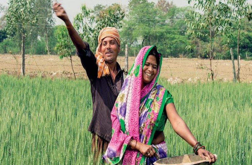 farmers