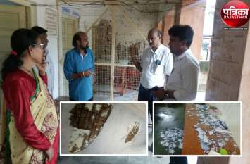 Plaster fell from roof of school in Marwar Junction town of Pali VIDEO : स्कूल में धड़ाम से गिरा छत का प्लास्टर, शिक्षकों में मची अफरा-तफरी, अब दहशत में हैं छात्राएं