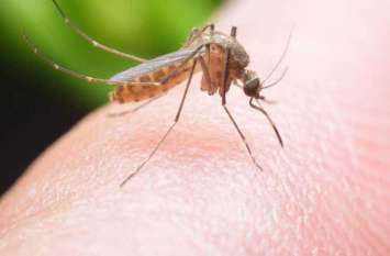 World Mosquito Day: Doctor Ronald Ross discovered mosquito Dengue World Mosquito Day: इन्होंने की थी मच्छर की खोज, लगाया था डेंगू जैसी खतरनाक बीमारी का पता