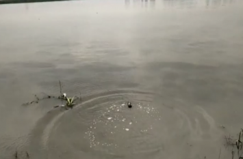 water level increase in yamuna river in noida यमुना नदी में उफान के बाद रेड अलर्ट जारी, यूपी के हाईटेक जिले के 52 गांव में बाढ़ का खतरा