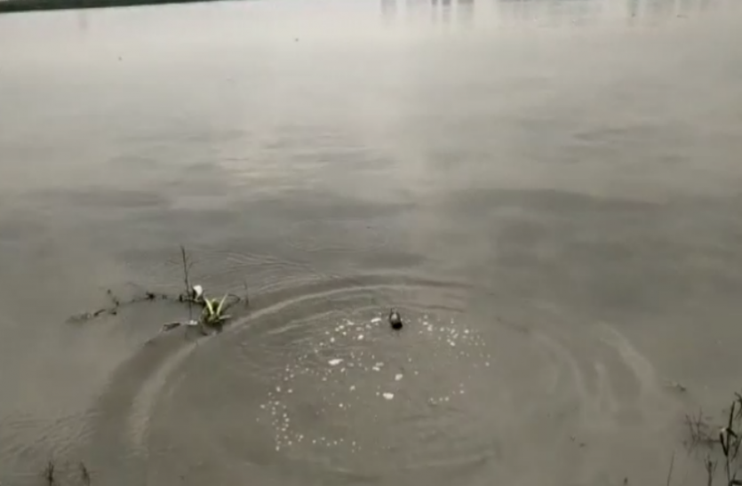 flood यमुना नदी में उफान के बाद रेड अलर्ट जारी, यूपी के हाईटेक जिले के 52 गांव में बाढ़ का खतरा