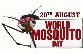 World Mosquito Day, beware from three types of mosquitoes in hindi World Mosquito Day : इन तीन तरह के मच्छरों से आप भी रहें बचकर, जो जानलेवा बीमारियों के वाहक हैं