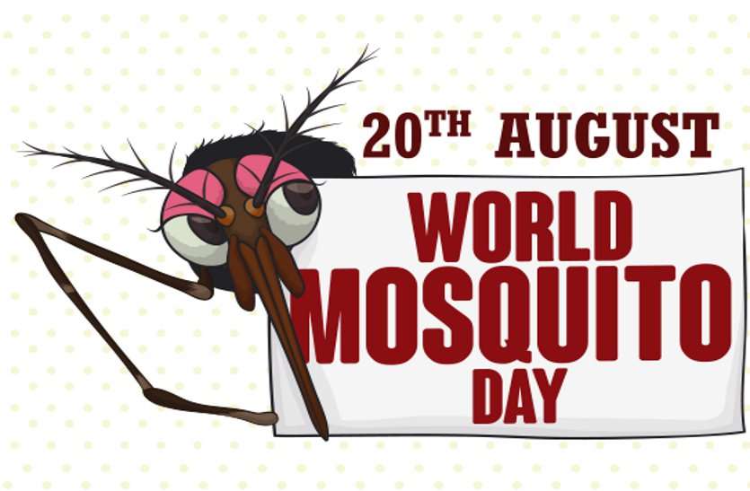 World Mosquito Day World Mosquito Day : इन तीन तरह के मच्छरों से आप भी रहें बचकर, जो जानलेवा बीमारियों के वाहक हैं