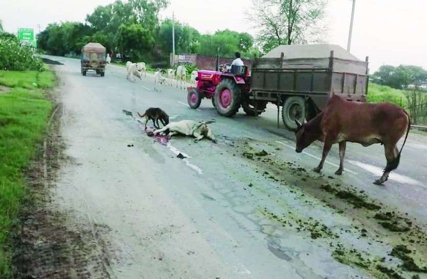 खाकी की चुप्पी, सड़कों पर दौड़ती मौत खाकी की चुप्पी, सड़कों पर दौड़ती मौत