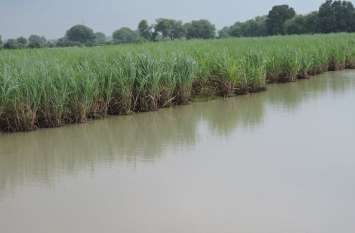 Rain, reservoir, pond, field, rain target, Gotegaon News, Narsinghpur Rain : बारिश से लबालब हो गए जलाशय और तालाब
