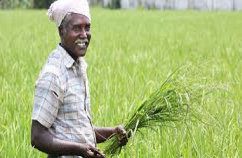 farmers.jpg किसानों ने खेत में खड़े किए पुतले