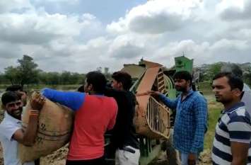 Narcotics Department takes action to destroy Doda Chura, Lunda 8 गांवों के 170 काश्तकार एक साथ ट्रेक्टर लेकर पहुंचे श्मशाम भूूमि पर, ये थी वजह