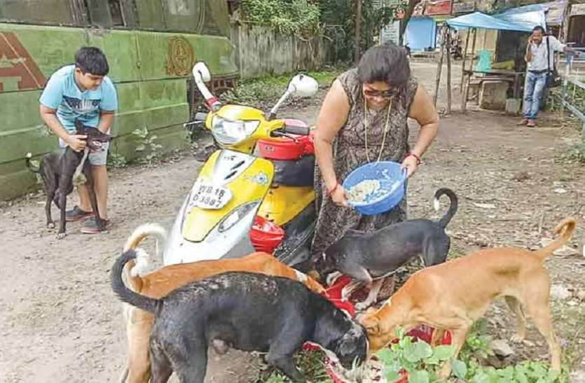 बैंक से 3 लाख कर्ज लेकर रोजाना 400 श्वानों को खिलाती खाना आखिर किसे खिलाने के लिए महिला ने लिया तीन लाख का लोन