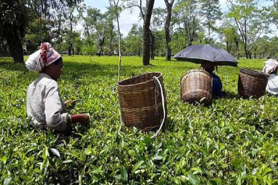मंदी से उबरना नहीं आसान, अब चाय के प्याले में भी ‘तूफान’