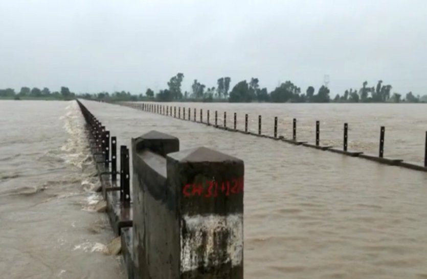 Average rainfall may occur this year इस वर्ष हो सकती है औसत बारिश, 182 एमएम रह गई शेष