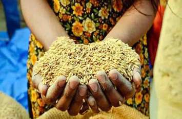 Neta, government worker pensioners in the food security list Food Security List में जनप्रतिनिधि, Government Worker कार्मिक और पेंशनर