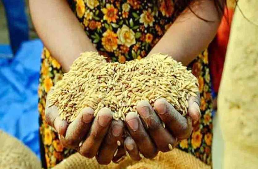 Rajsamand,Rajsamand news,Rajsamand Hindi news,rajsamand latest news,rajsamand news in hindi,Rajsamand police,rajsamand latest hindi news rajsamand,rajsamand latest news rajsamand,Latest News rajsamand,Latest hindi news rajsamand,Crime News rajsamand, Food Security List में जनप्रतिनिधि, Government Worker कार्मिक और पेंशनर