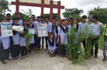 Carrot is harmful to human health, animals मानव स्वास्थ्य, पशुओं के लिए हानिकारक है गाजरघास