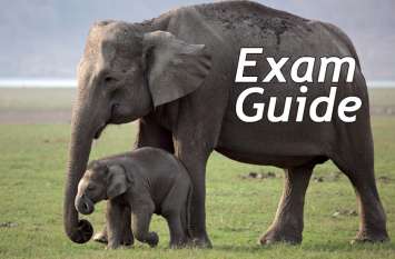exam guide: gk exam mock test paper in hindi Exam Guide: इस टेस्ट से जांचे सामान्य ज्ञान के एग्जाम की तैयारी