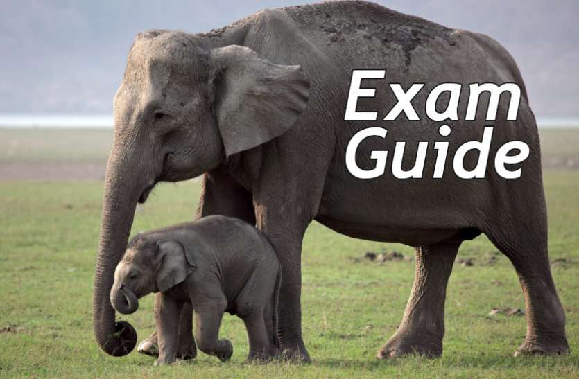 Education, interview, exam, online test, rojgar samachar, interview tips, online exam, Mock Test, general knowledge, GK, interview questions, jobs in hindi, rojgar, competition exam, mock test paper, sarkari job, questions Answers, GK mock test, Exam Guide, General Science Questions, Questions and answers, common general knowledge questions and answers, common general knowledge questions and answers Exam Guide: इस टेस्ट से जांचे सामान्य ज्ञान के एग्जाम की तैयारी