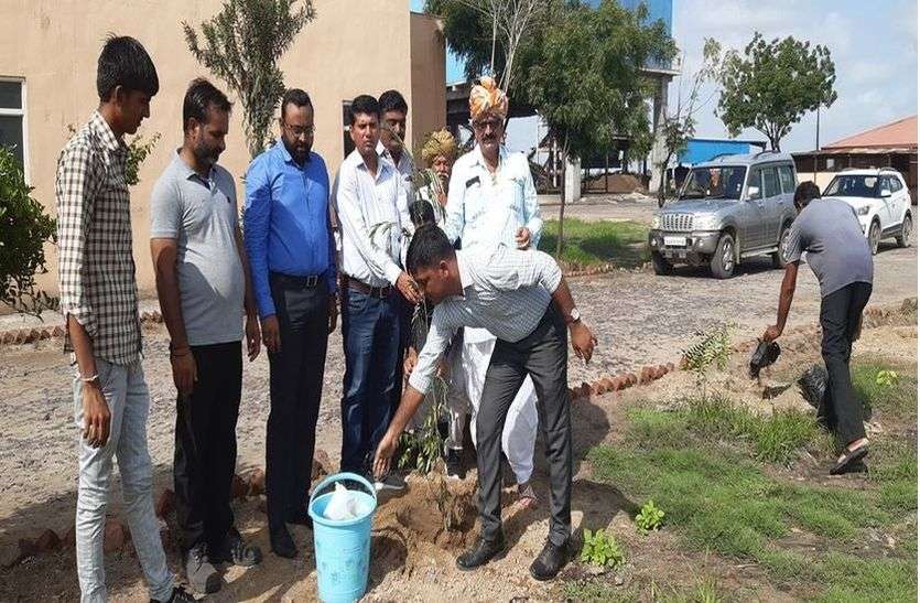 काछेला स्थित ट्रास्टेक ग्रीन प्लांट में पौधरोपण काछेला स्थित ट्रास्टेक ग्रीन प्लांट में पौधरोपण
